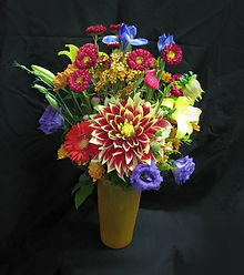 Special Offer Flowers